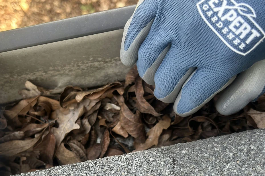 Gutter Cleaning Greenwood