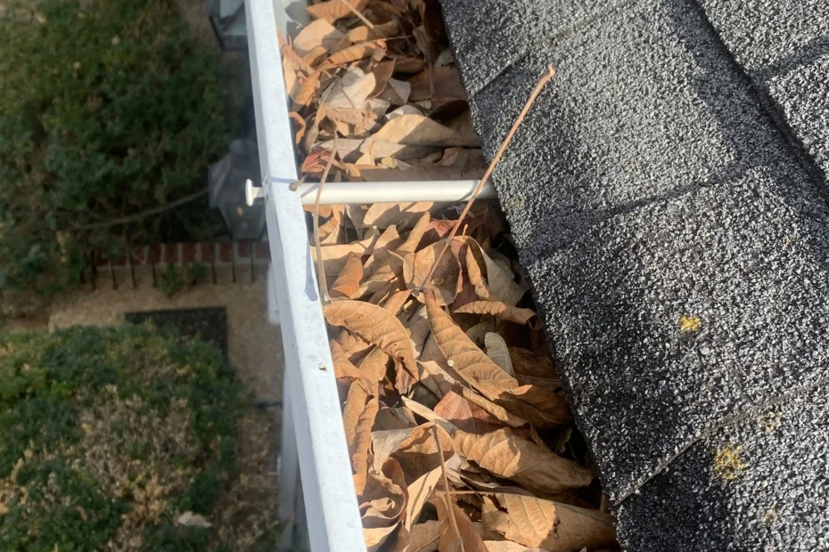 Gutter Cleaning Greenwood