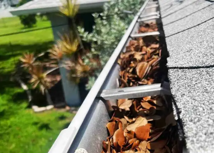 Gutter Cleaning Greenwood home page